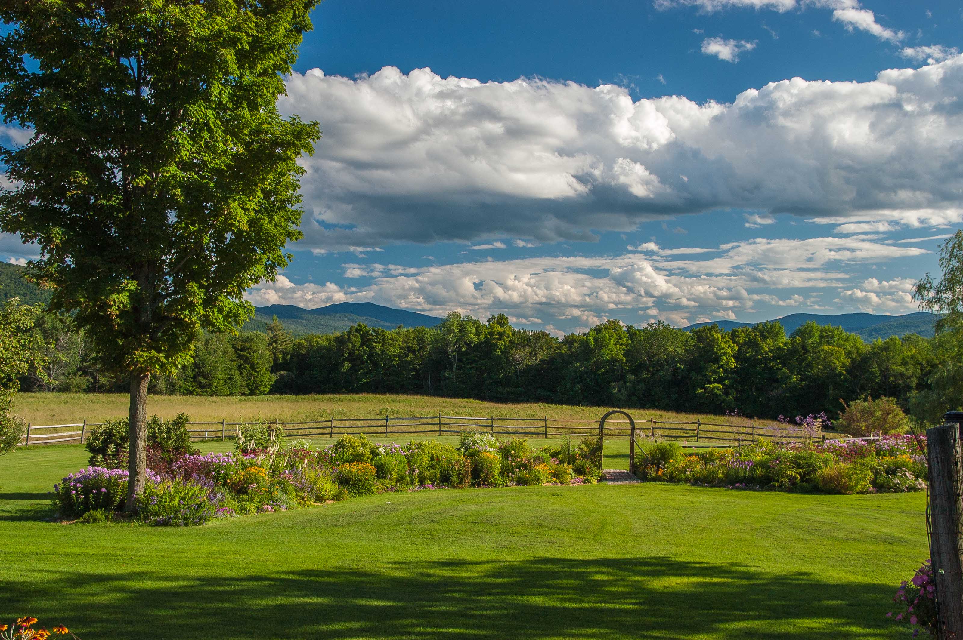 In The Company Of Meadow Windekind Farm Country Cottages